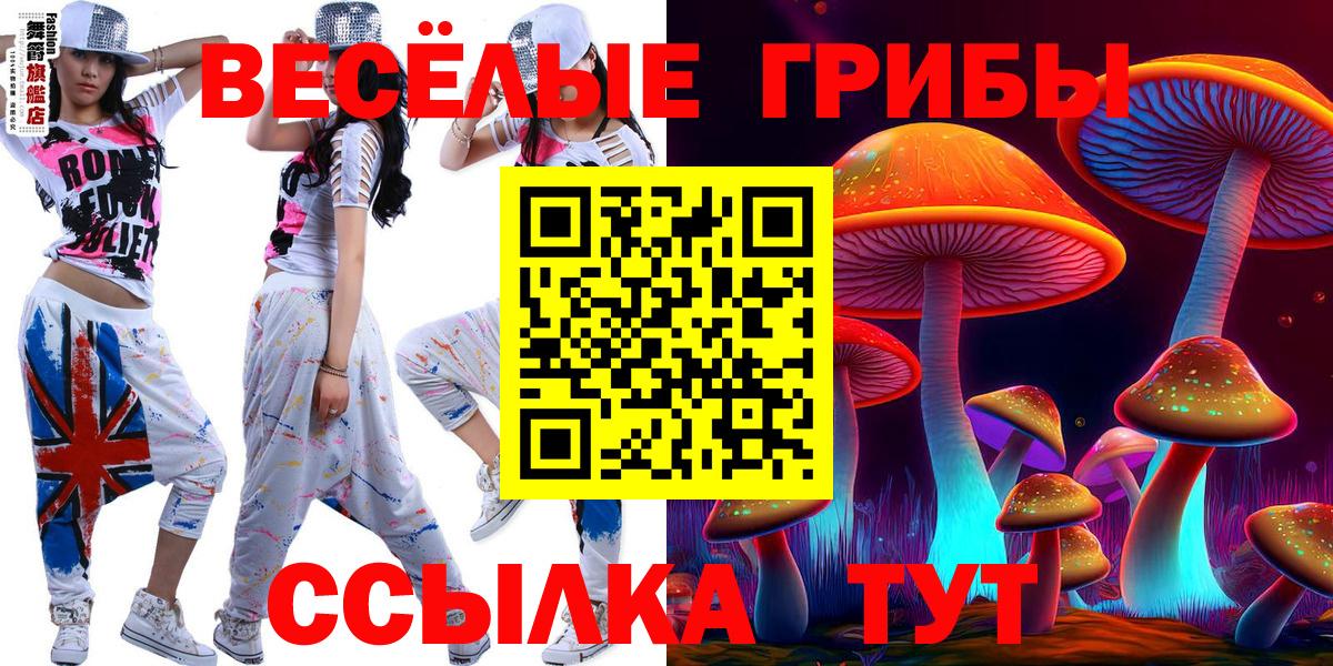 Галлюциногенные грибы Cubensis  Вход с VPN  Псилоцибиновые грибы мицелий  где купить наркоту  Саяногорск 